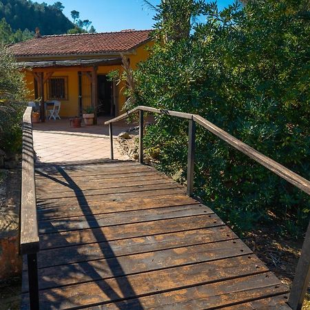 Magical Woods By Fidalsa Simat de la Valldigna Exterior foto