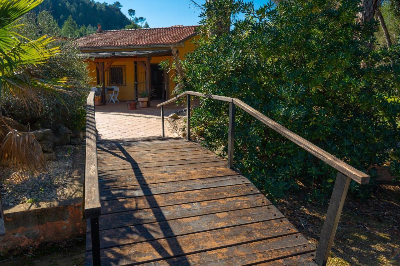 Magical Woods By Fidalsa Simat de la Valldigna Exterior foto